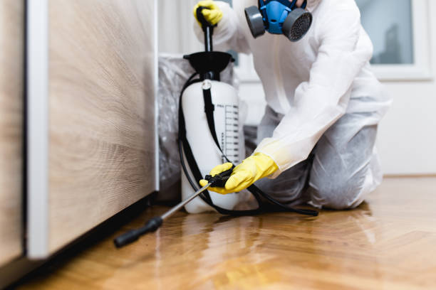 Best Mosquito Control Services  in Reed City, MI