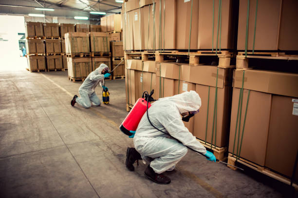 Best Local Pest Control Services  in Reed City, MI