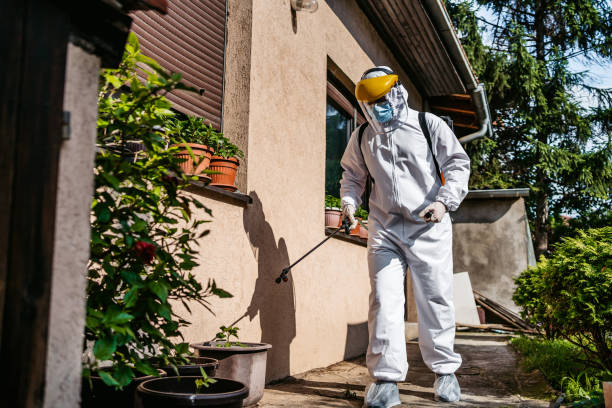 Best Emergency Pest Control  in Reed City, MI