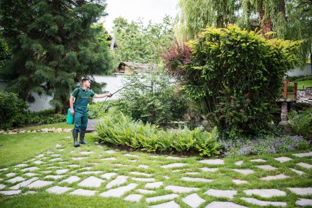 Best Best Pest Control Companies  in Reed City, MI