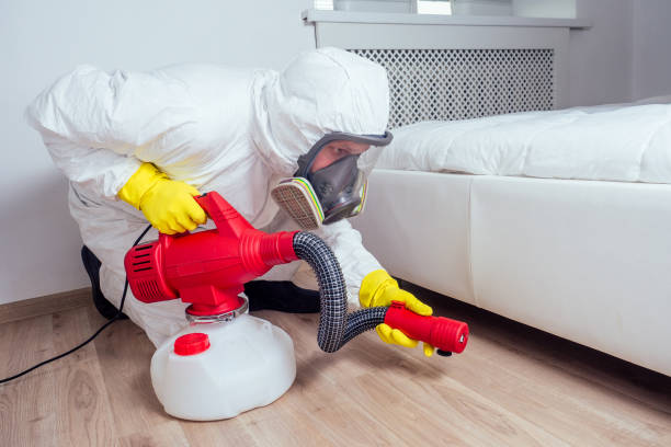 Pest Control for Restaurants in Reed City, MI