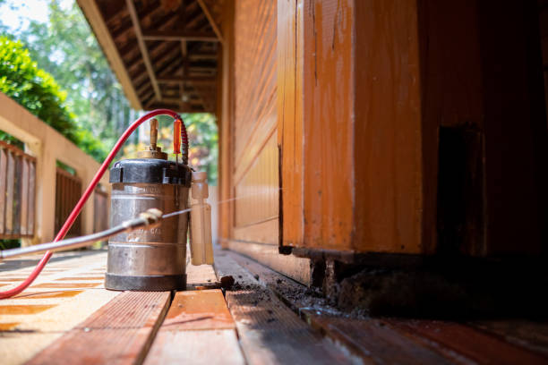 Best Exterminator Services  in Reed City, MI