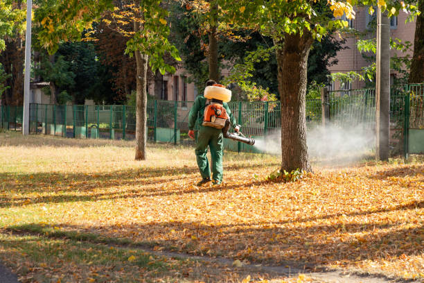 Best Affordable Pest Control Services  in Reed City, MI