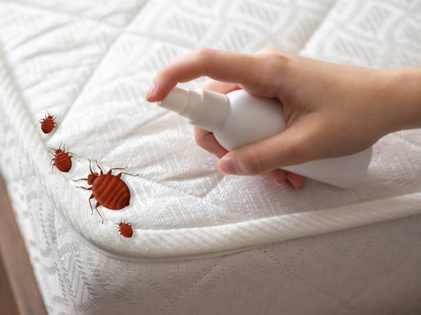 Best Commercial Pest Control Services  in Reed City, MI