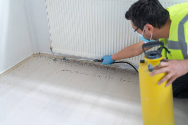 Trusted Reed City, MI Pest Control Experts